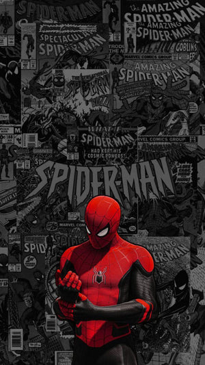 SPIDER-MAN